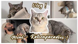 Wir bauen Innen Katzentreppen  Kletterwand mit Hängematte für unsere Katzen  Katzenvideo Vlog