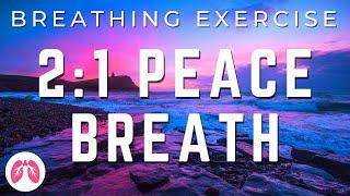 Breathing Exercises for Anxiety  21 Breathing Technique to release stress TAKE A DEEP BREATH