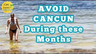 Avoid Cancun During these Months  Cancun Mexico  Cancun Beaches