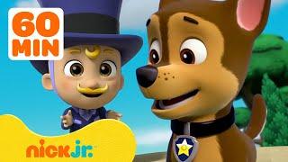 PAW Patrol Pups Save Baby Mayor Humdinger w Skye & Zuma  60 Minute Compilation  Nick Jr.