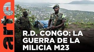 R. D. Congo la guerra sin fin  ARTE.tv Documentales