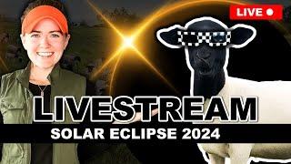  TOTAL SOLAR ECLIPSE 2024 LIVESTREAM  TEXAS Center Line The Great North American April 8 2024 Live