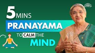 5 Minute Pranayama  Instant Mind Calmness  Immediate Relaxation  Stress Relief  Dr. Hansaji