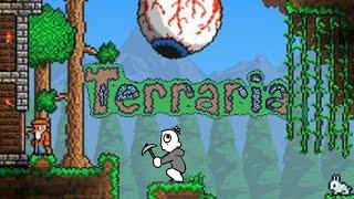 Newbie is Being watched in TERRARIA