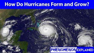 How do Hurricanes Form and Grow?--Phenomenon Explained