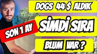 DOGS PARA ÇEKME 44 $ TAMAM  BLUM COİN  AİR DROP PARA KAZANMA