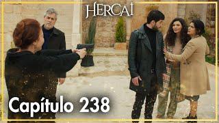 Hercai - Capítulo 238