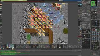 Tibia  Ingol -4  Royal Paladin solo  8kk exp @100%  1.5kk+ loot  Level 1200+