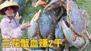 A Yu Mei Chanhai Collection A Yu Mei touched crabs in muddy water. She caught one orchid crab aft