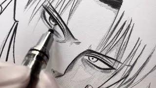 Levi Ackerman Drawing