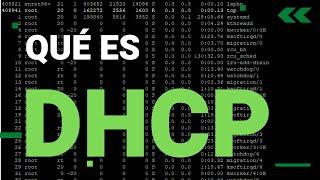 🟣  ¿Qué es DHCP? Para qué sirve y porqué es IMPORTANTE