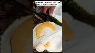 BONGKAR DURIAN TERENAK SUPERTEMBAGA #durian #duriansupertembaga #pupukdurian