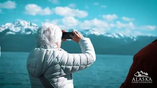 Whale Watching And Mendenhall Glacier Tour - Juneau Alaska