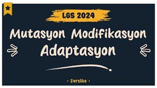 Mutasyon Modifikasyon Adaptasyon  LGS 2024