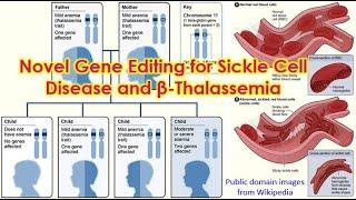 Novel Gene Editing for Sickle Cell Disease and β-Thalassemia