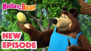 Masha and the Bear 2024  NEW EPISODE  Best cartoon collection  Soup Pursuit 