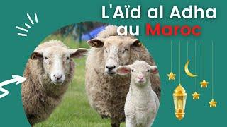 6 choses que vous ne verrez pas en France  LAïd al Adha au Maroc