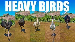 The Heavies Birds Category Speed Race in Planet Zoo included Crane Cassowary Ostrich Swan