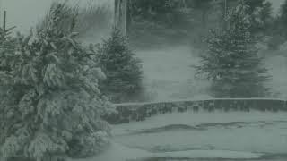 Epic Snowstorm  10 Hours Version  Howling Blizzard Sounds  Heavy Wind  Perfect Sounds For Sleep