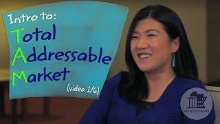 Intro How to Find Total Addressable Market TAM - Feat. Thyme Labs Pt 16