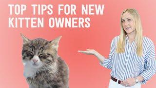 New Kitten? 10 things you NEED to know