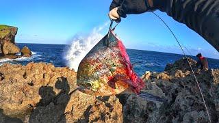 LOUCURAS ACONTECEM QUANDO SE USA ESSA ISCA rock fishing e pescaria de tilápia
