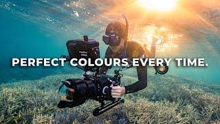 The Power of R3D RED RAW in Underwater Cinematography