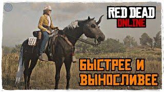 Red Dead Online - Самая Быстрая Лошадь и Лучшее Седло