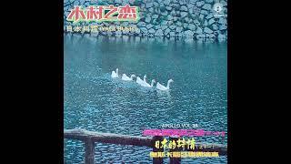 奧斯卡管絃樂團 Oscar & His Orchestra - 奥斯卡音乐 - 兴作 Singapore LIbrary Psych Easy Listening 1980