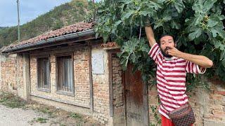 Bulgarian Village House - how it looks like Jelio TV. ЖельоМир и Детските Спомени от Село