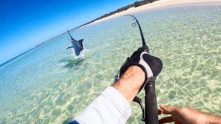 Marlin On The Beach