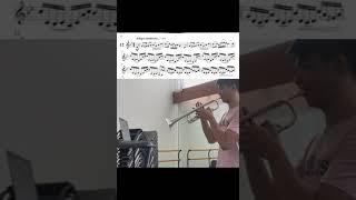 Ost Characteristic Study #12 for Trumpet - Vincent Yim