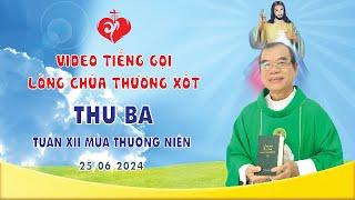 VIDEO TIẾNG GỌI LÒNG CHÚA THƯƠNG XÓT  THỨ BA TUẦN XII MÙA THƯỜNG NIÊN  25062024