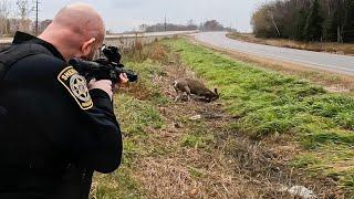 Shots FIRED Cops Had To Shoot Buck In Middle of highway {Catch Clean Cook} Deer Causing DAMAGE