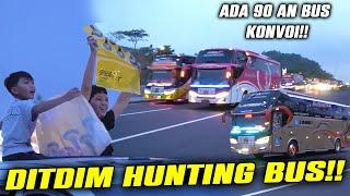 HUNTING BUS DITDIM NIAT HUNTING BUS MALAH KETEMU MOBIL BASURI..