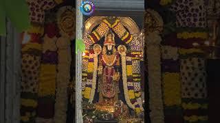 Lord Venkateshwara Swamy live video #shorts #venkateshwaraswamy #bellandur