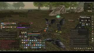 Lineage II Official Naia Server Sayhas Seer 111 Lv farm 122 Lv zone