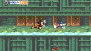 World of Illusion Starring Mickey Mouse and Donald Duck 2 player Netplay game