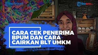 Begini Cek Penerima BPUM via eform.bri.co.idbpum Beserta Cara Cairkan BLT UMKM Rp24 Juta