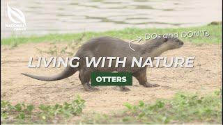 NParks Wildlife Advisory Video - Otters