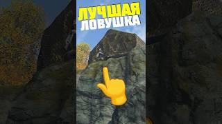 ЛУЧШАЯ ЛОВУШКА НА ИГРОКА в DayZ #dayz #дейз