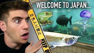 LARGEST AQUARIUM STORE IN JAPAN TOUR