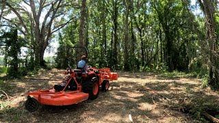 Mowing Wisteria Woods Leads To Incredible Transformation  Mystery Foundation