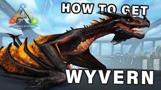 How to get a Wyvern Tame  Eggs and Milk ► Ark Survival Evolved