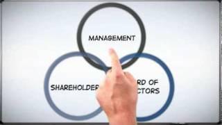 Corp 101 The Basics of Corporate Structure