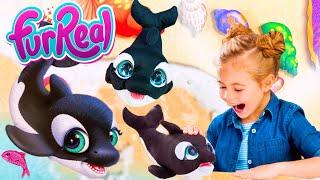 Hasbro Furreal Koi the Kisser Orca Whale Interactive Plush Toy Unboxing  SUPER CUTE