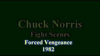 Chuck Norris Fight Scenes Forced Vengeance 1982