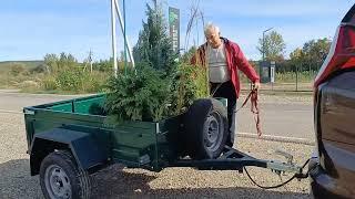 Одесситы в Закарпатье. Очень насыщенный день Питомники в Виноградове. Купили камин в Мукачево.