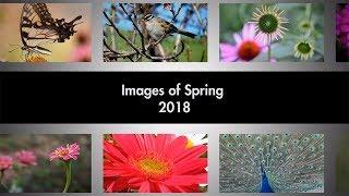 Images of Spring 2018