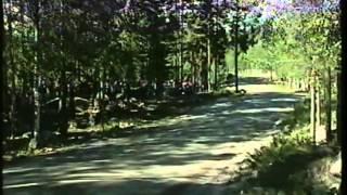 Neste Rally Finland 2000 - Ennakko